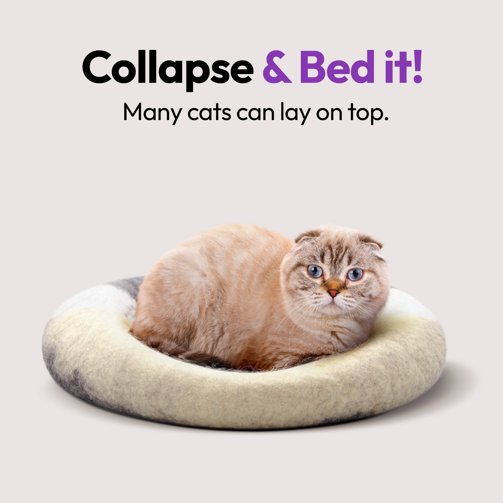 手作りメリノ羊毛の洞窟（コアラ）