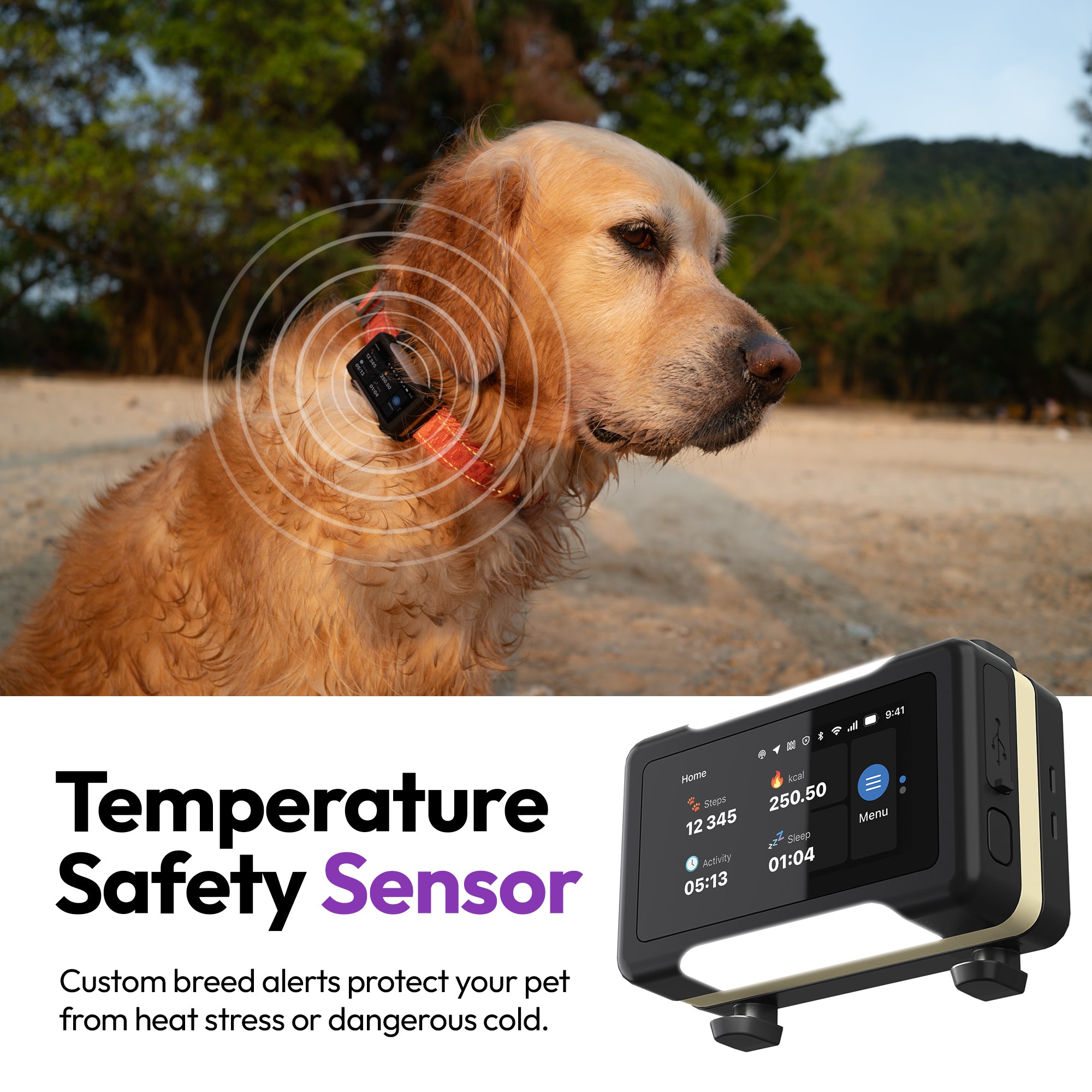 高级GPS、健康与训练追踪器