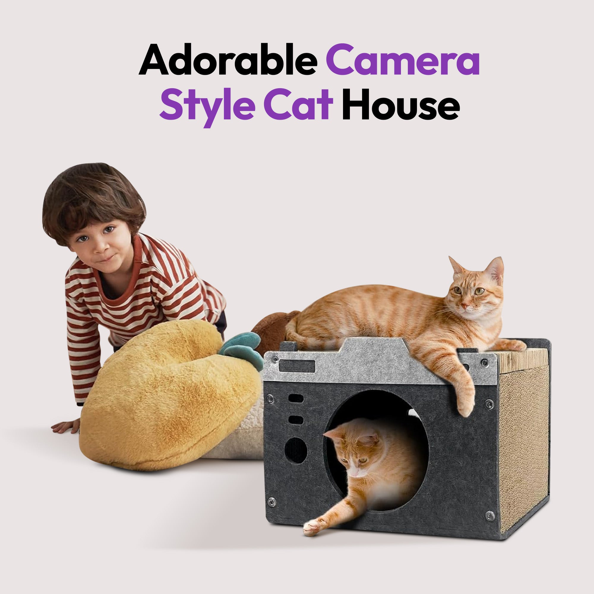 キャットフルエンサーの家