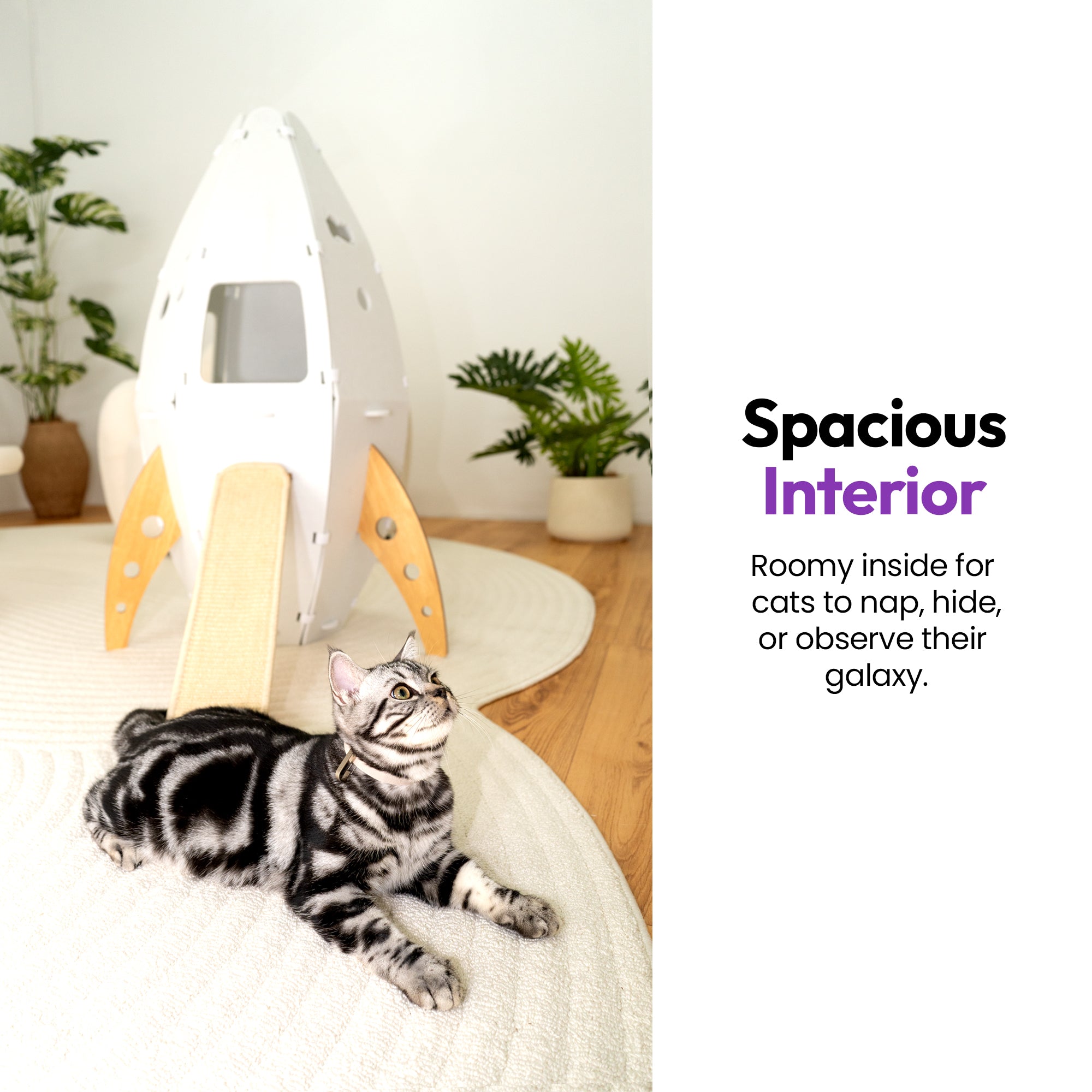 Catstronaut Raumschiff