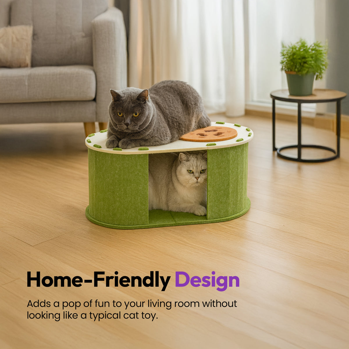 Avo-Cat-O Haus