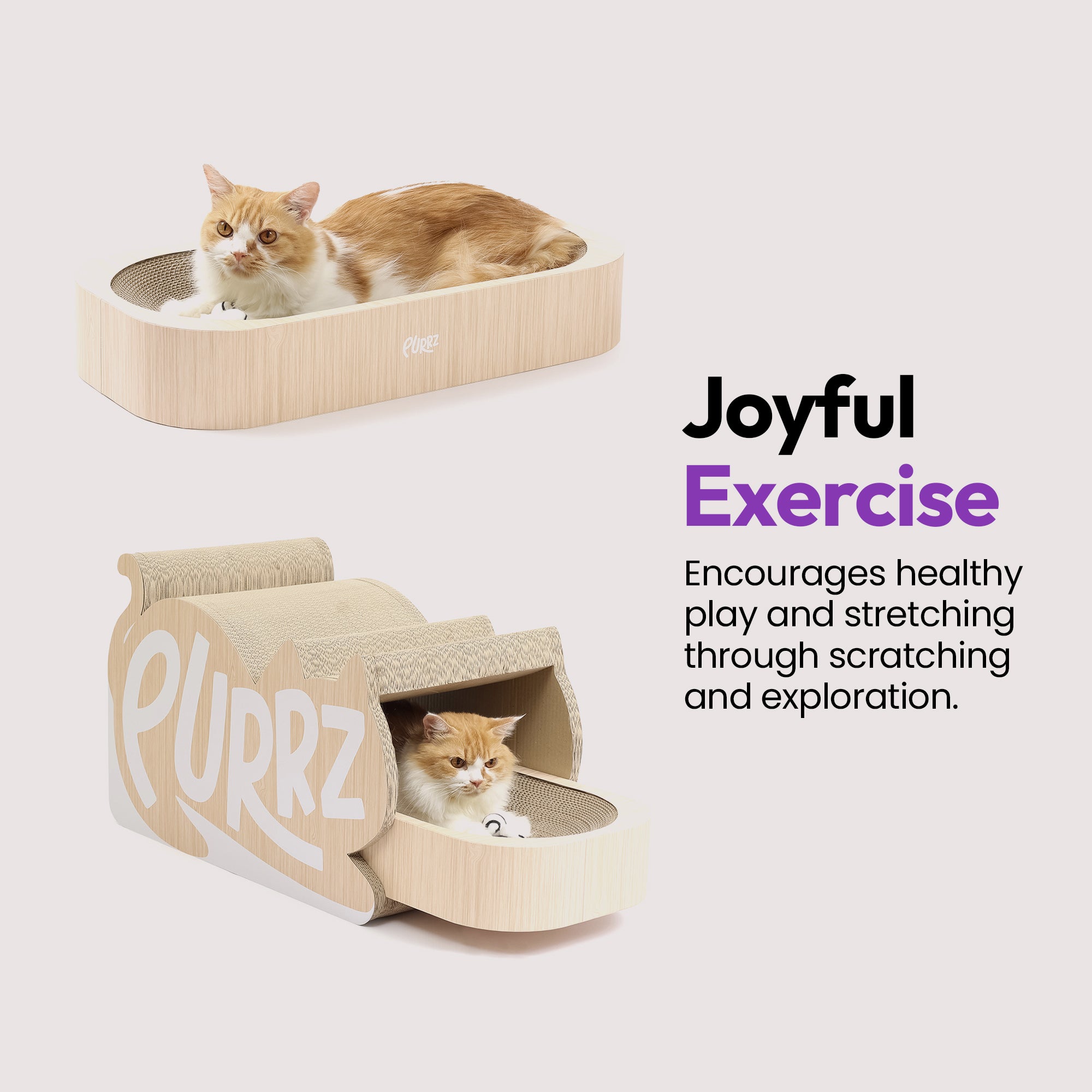 Túnel gigante para gatos, rascador con descanso y juego de bolas de lana