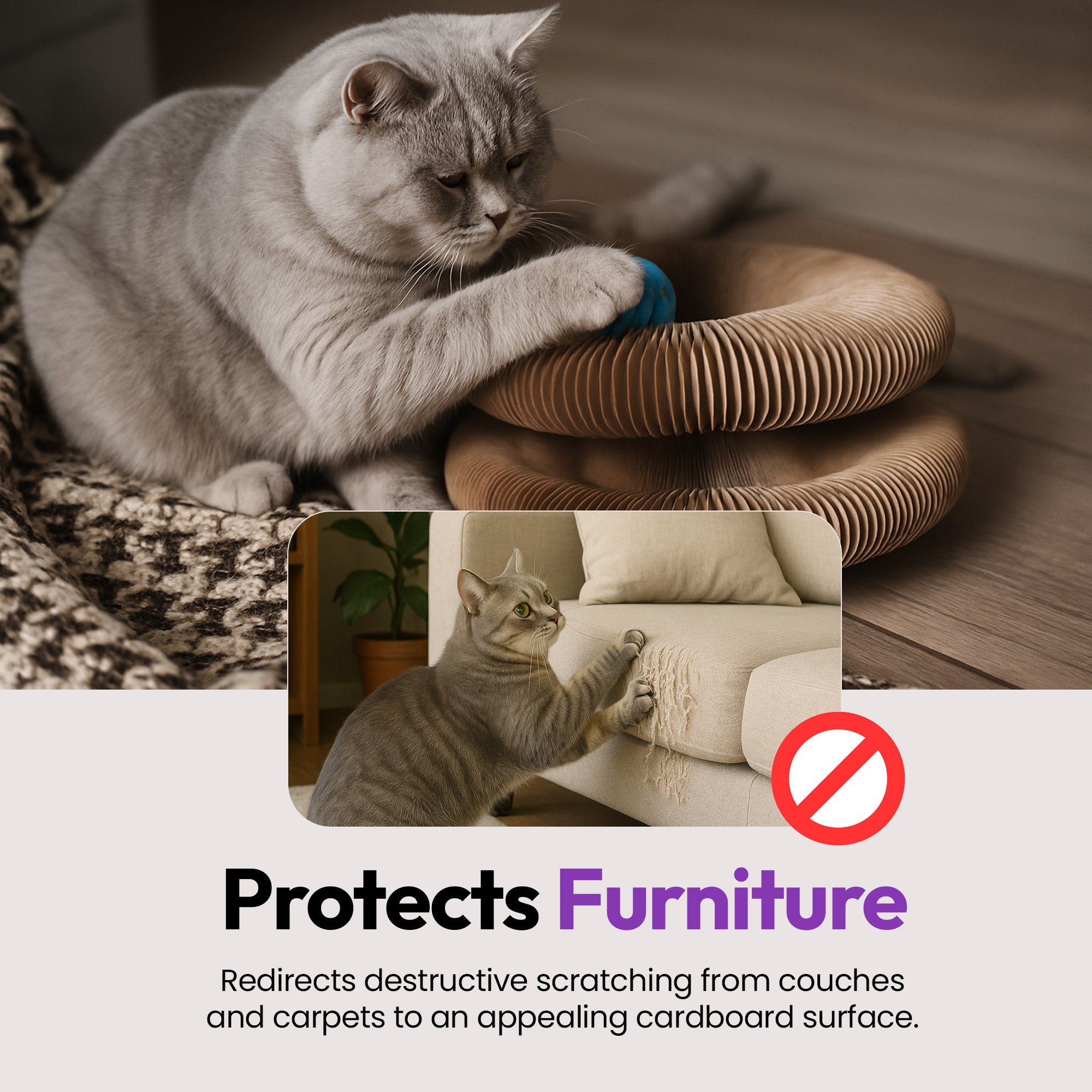 伸展与弹性猫玩具