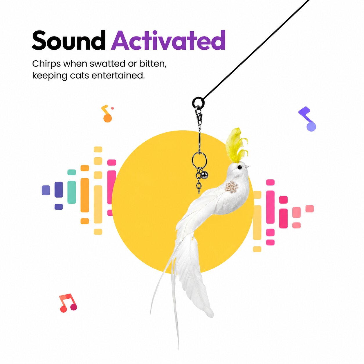 Cockatoo Chaos