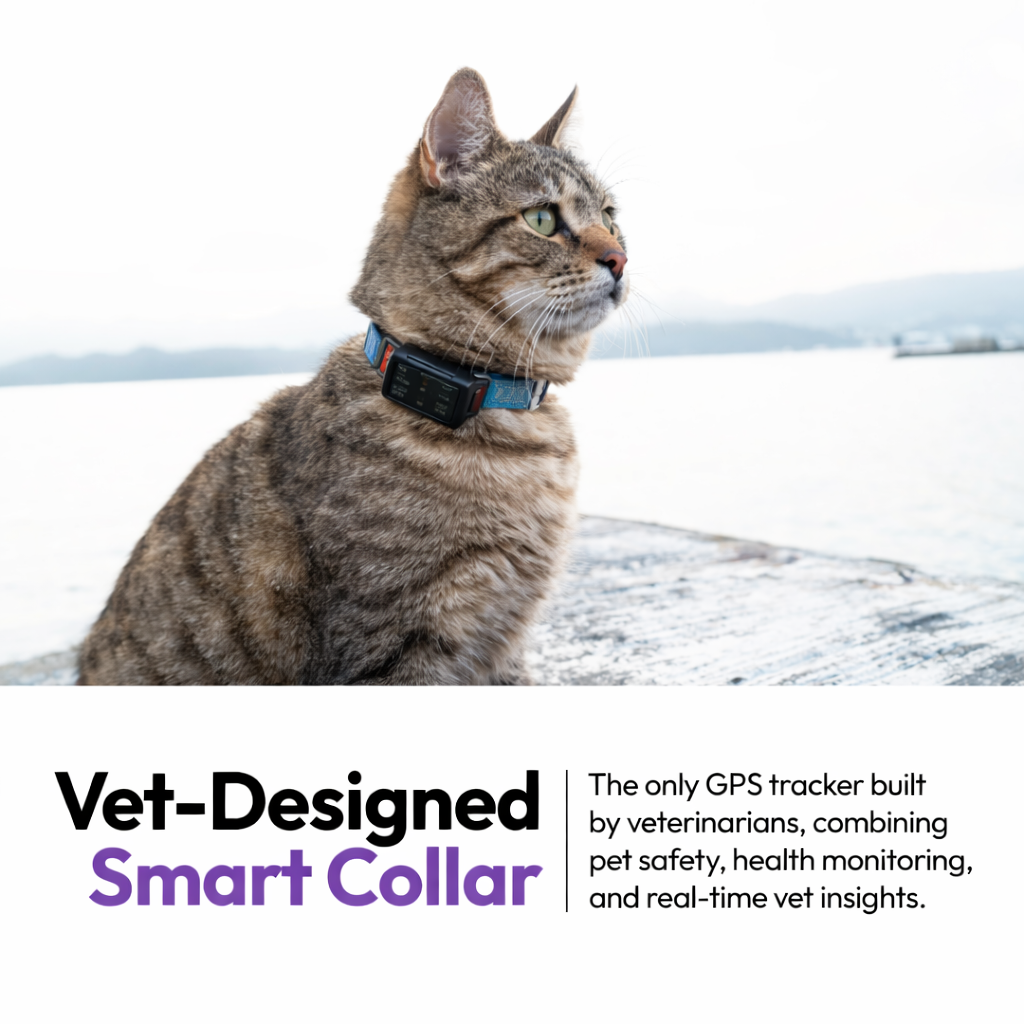 Cat wearing a vet-designed smart collar with text about pet safety and health monitoring.