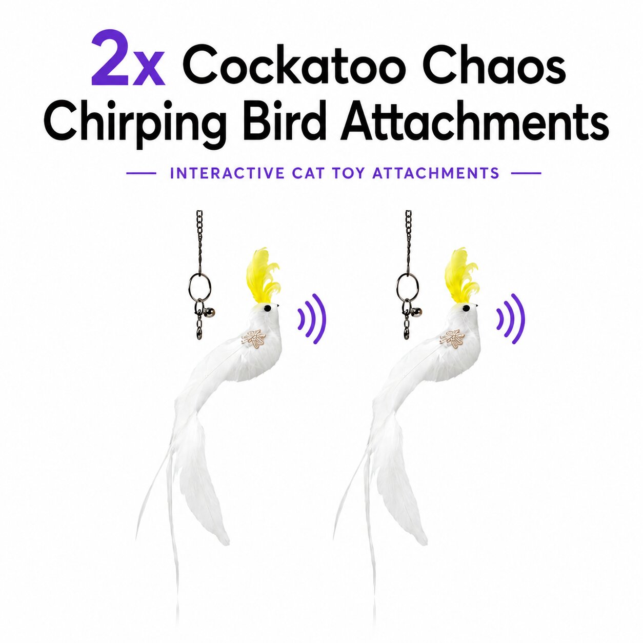 Cockatoo Chaos