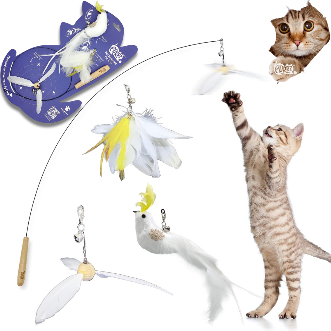 PURRZ Cat Feather Wand Toy – Natural Cockatoo-Inspired Teaser with 3 Interchangeable Feather Toys, Flexible Steel Wand, Non-Toxic, Vet-Designed Interactive Toy for Indoor Cats, Kittens & Seniors- Cockatoo