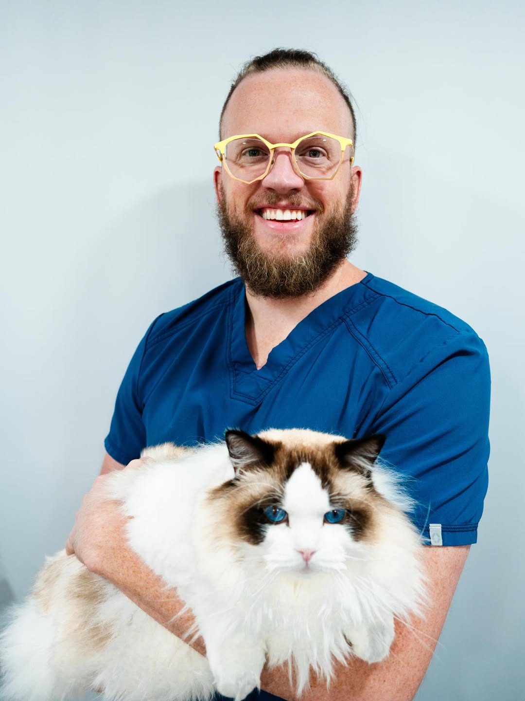 Person in blue scrubs holding a fluffy cat against a light gray background