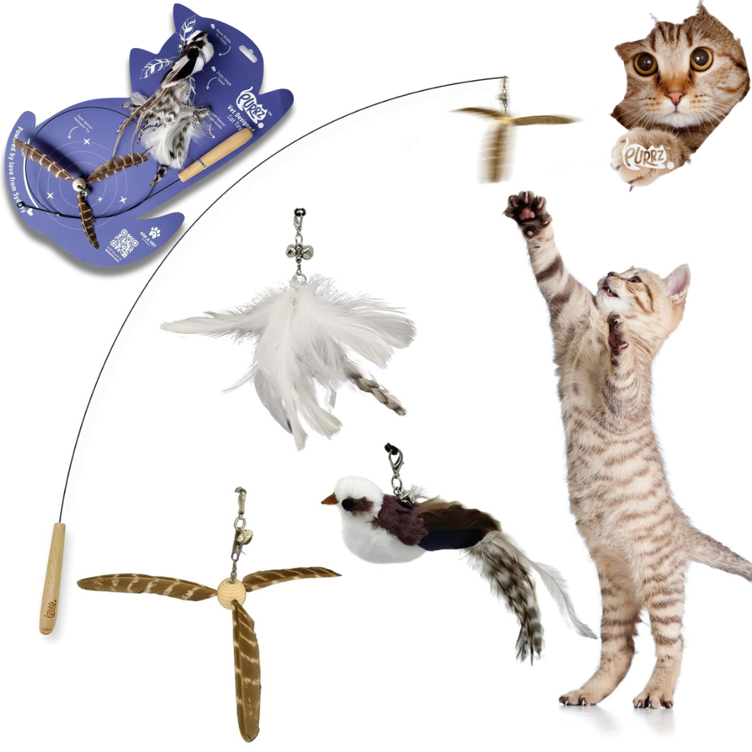PURRZ Cat Feather Wand Toy – Kookaburra-Inspired Teaser with 3 Interchangeable Natural Feather Toys, Flexible Steel Wand, Non-Toxic, Vet-Designed Interactive Toy for Indoor Cats, Kittens & Seniors - Kookaburra