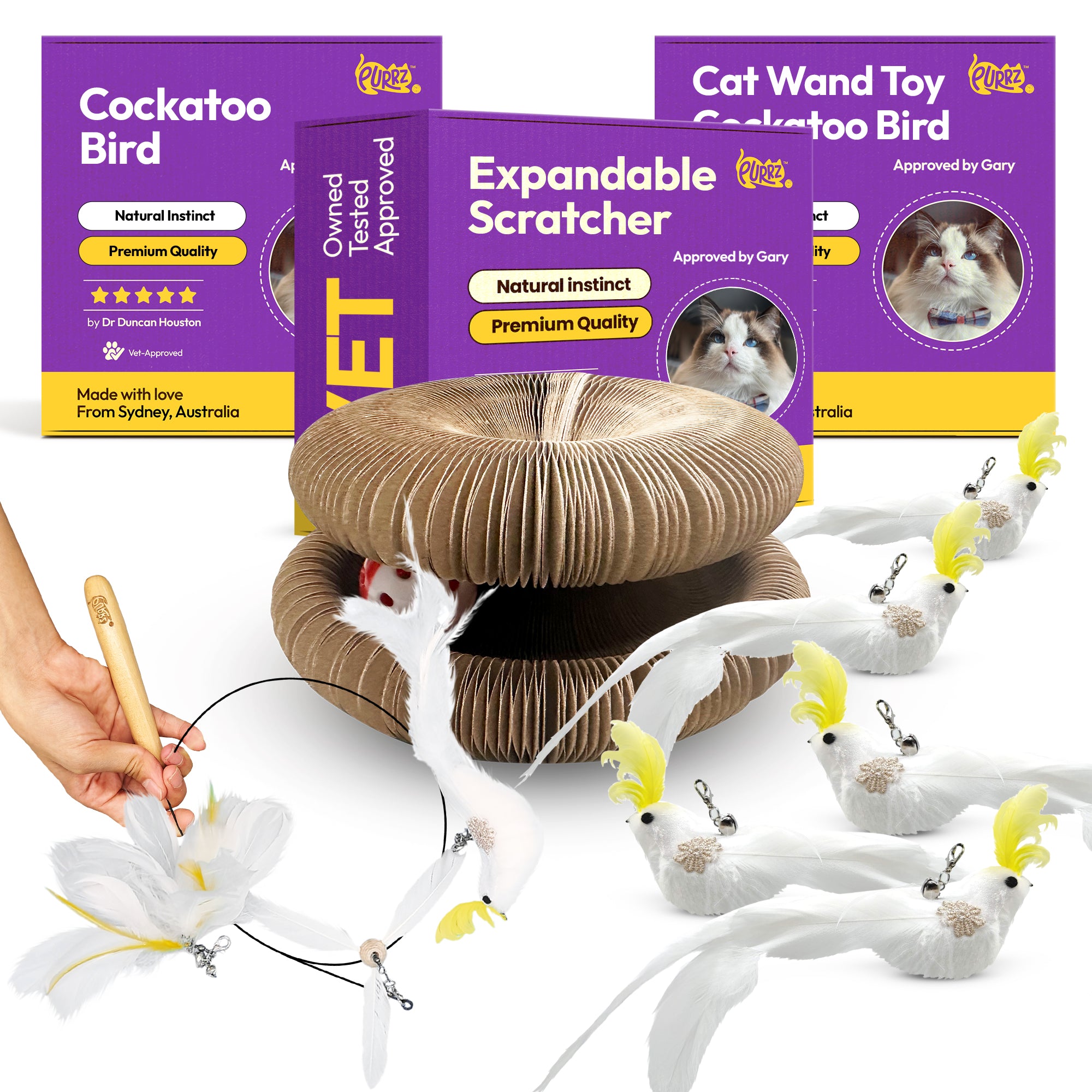 LOVE AT FIRST POUNCE BUNDLE