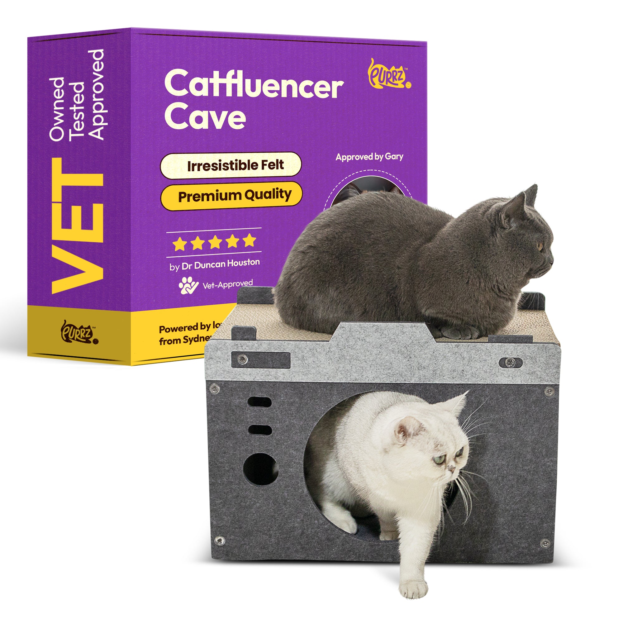 Catfluencer Haus