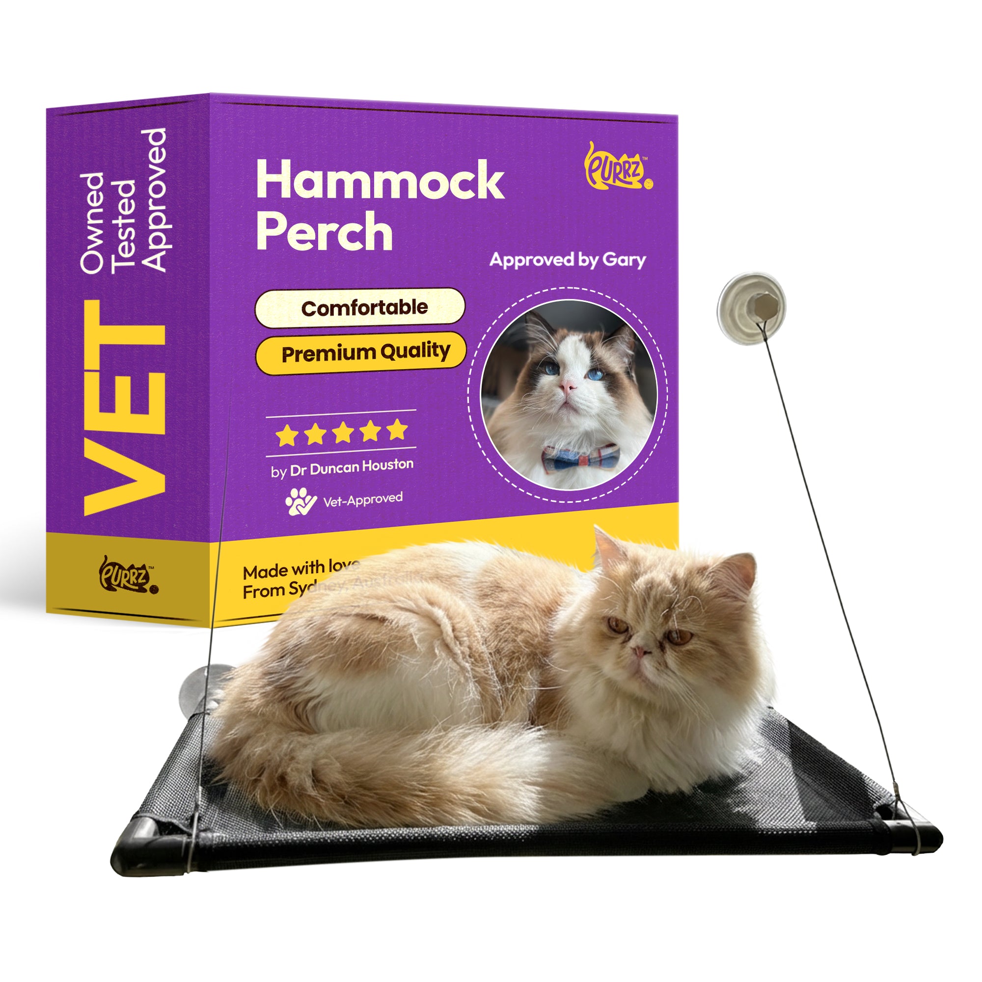 Life Pondering Window Hammock