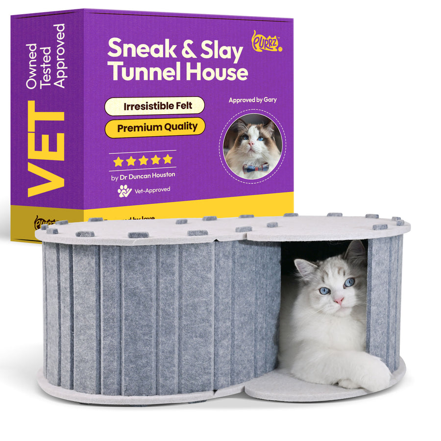 Sneak & Slay Tunnel