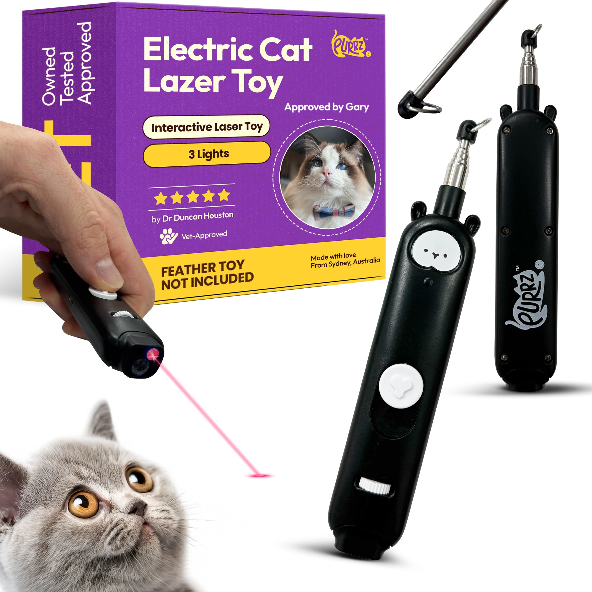 Teddy Multi-Use Laser Toy