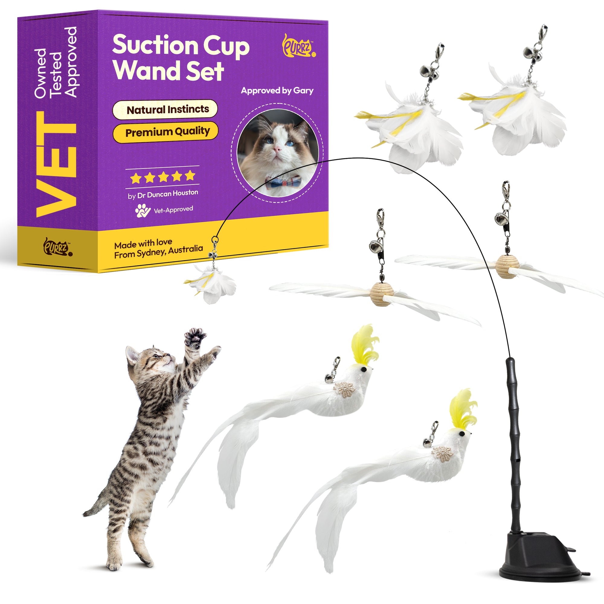 Conjunto de varitas de madera con juguete de plumas Caos de Cacatúa