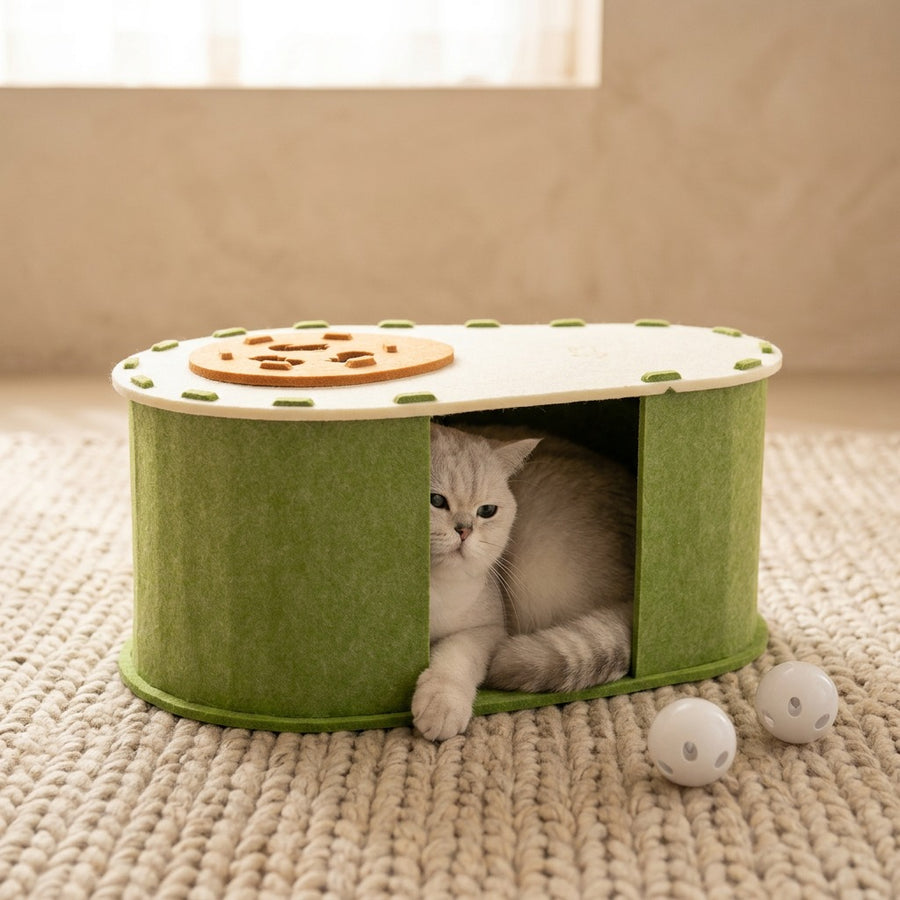 Active adult cats