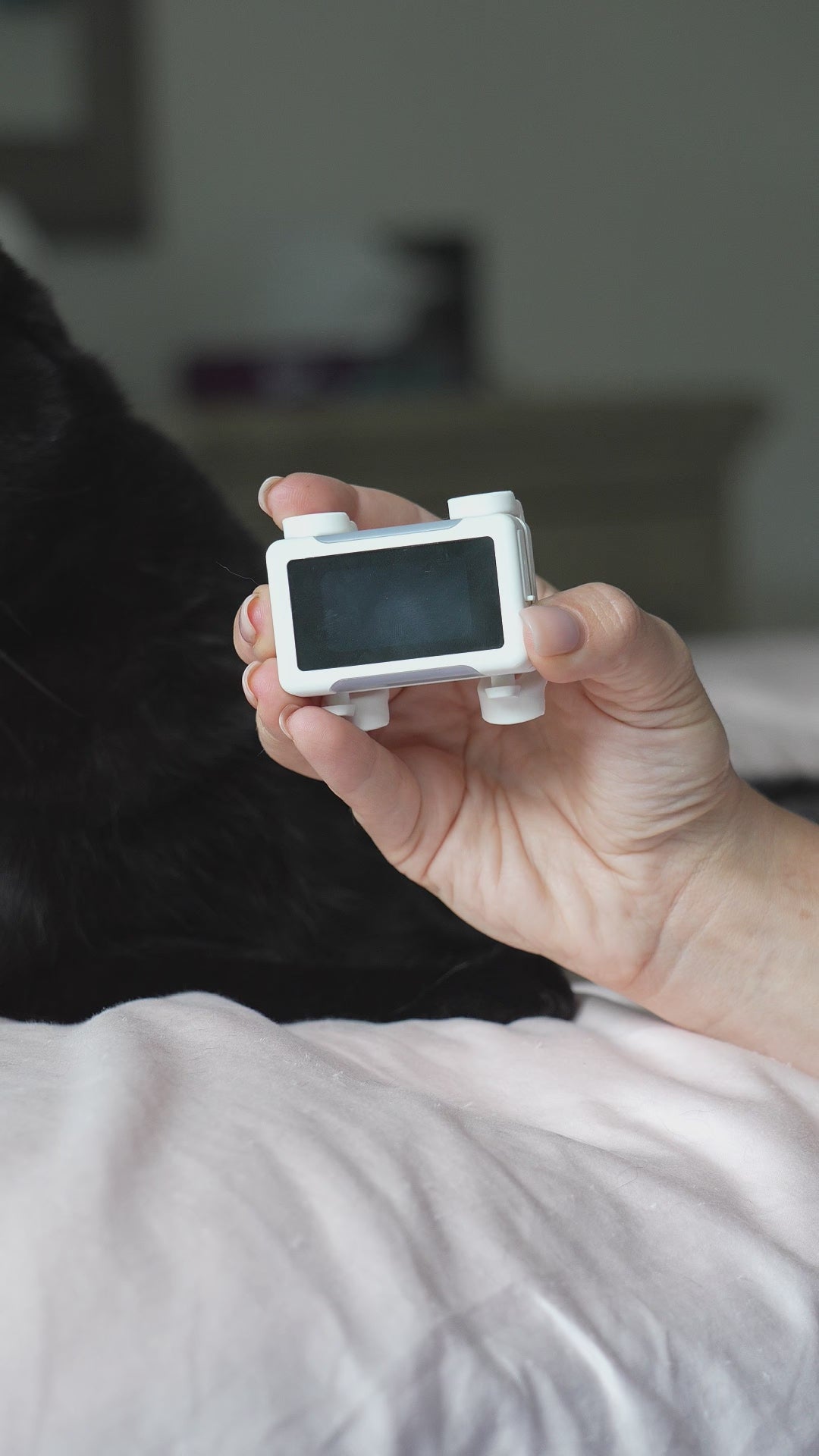 Cat GPS Tracker: Video of the White / Gold tracker held in hand with its screen lit, then worn on a cat’s collar