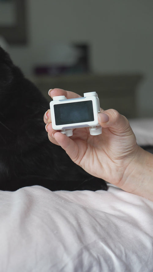 White / Gold | Cat GPS Tracker: Video of the White / Gold tracker held in hand with its screen lit, then worn on a cat’s collar