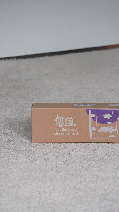 Black | Window Hammock: Video of the Black mesh hammock unrolled from its box, the frame poles slid in, the twist-lock suction cups assembled and a Bengal cat sitting on it at the window