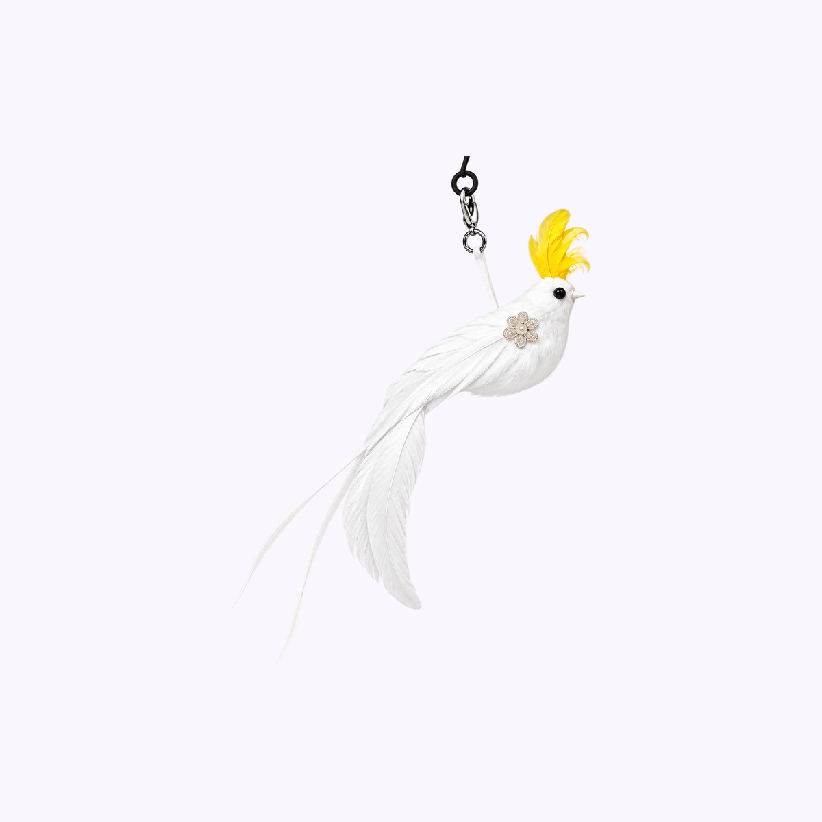 Cockatoo Chaos | Noisy Birds with Sounds: illustration of the Noisy Birds with Sounds in Cockatoo Chaos