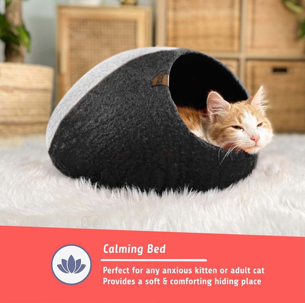 Calming bed cheap for cats