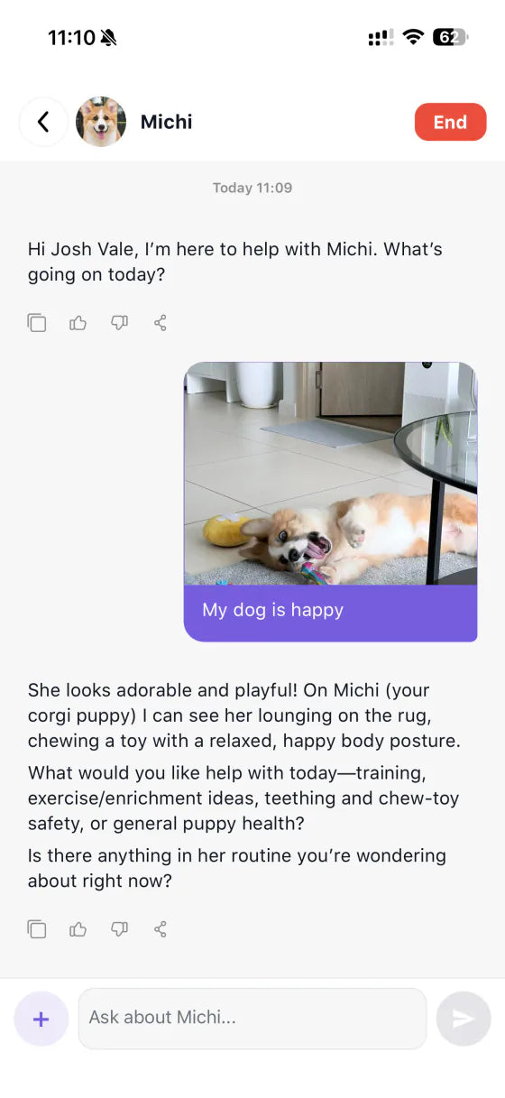 Ask A Vet app vet chat screen