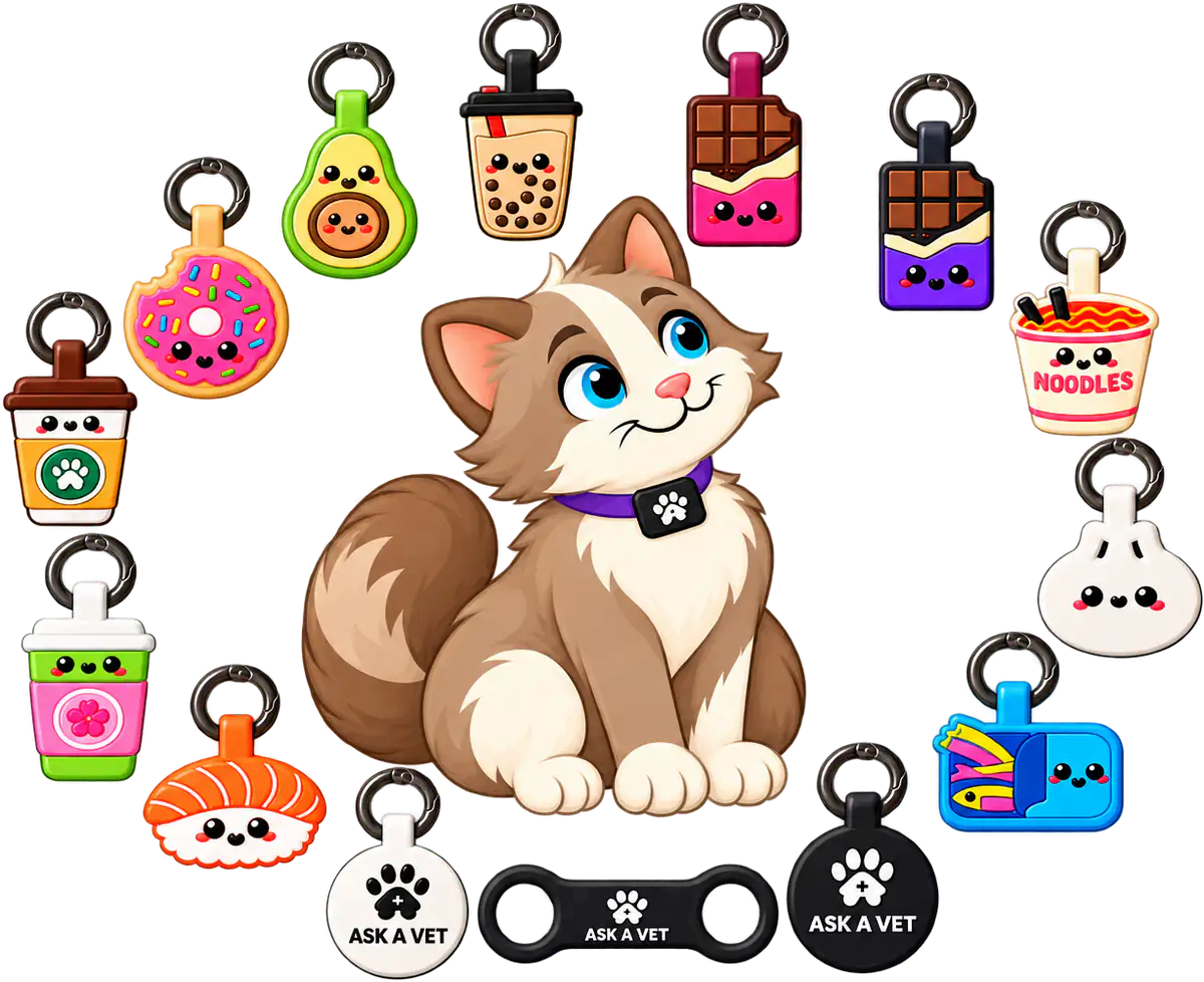 Illustrated cat wearing the Black Cat Smart ID Tag, ringed by all fourteen Cat Smart ID Tag designs including the Slide-On